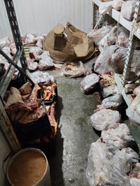 Clausuran carnicería de la colonia Morga, por insalubre