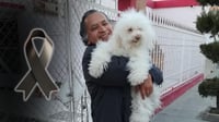 Recuerdan al padre Badillo, por su amor a los perritos