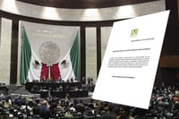 PVEM se deslinda de declaraciones sobre reforma electoral