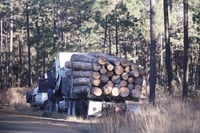 Trabajador forestal muere tras sufrir un accidente laboral en San Dimas