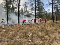 Activan brigadas contra incendios forestales en municipios de Durango