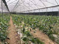 Agilizarán los trámites para acceder a PEUA en Durango