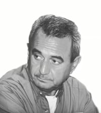 México como un estado funcional