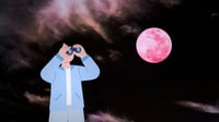 ¿Cuándo es la Luna Rosa de 2026?, el evento astronómico que podrá verse en México