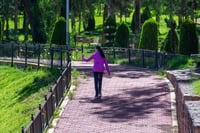 Instalarán cámaras en el Parque Guadiana