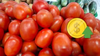 Aumenta precio del tomate: Canirac
