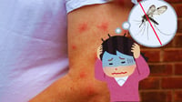¿Cómo espantar a los mosquitos en temporada de calor? Consejos prácticos para proteger tu casa