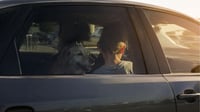 Niños y mascotas en riesgo: el peligro de dejarlos dentro del auto bajo el intenso calor