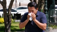 Viento en Durango: ¿por qué aumentan los síntomas de alergia cuando hay ráfagas fuertes?