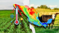 Alerta en el campo: Calor extremo de 47° C y granizo amenazan cultivos y ganado en México