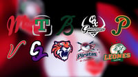 LMB: ¿Cómo marcha el standing de la Zona Sur tras el cierre de las series de fin de semana?