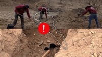 Colectivo de búsqueda localiza tres osamentas en fosas clandestinas de Concordia, Sinaloa