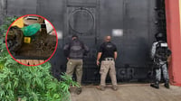 Fuerzas federales catean inmueble en Durango; aseguran droga, cartuchos y ponchallantas
