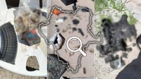 Aseguran artefactos bélicos durante cateo a otro inmueble en Durango