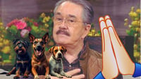 Critican a Pedro Sola por dichos contra los perritos: ‘Con ganas de aventarles carne envenenada'