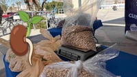 Proponen ampliar acopio de frijol para beneficiar a más productores de Durango