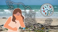 Verano 2026: ¿Vacaciones en la playa? ¡Cuidado! Estas fueron calificadas como 'no aptas' para nadar