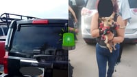 Sancionan a dueña por dejar a su perrito encerrado en un vehículo en la Feria de Durango