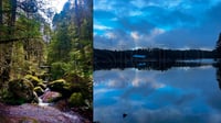 Puentecillas: un hike entre bosques, cascadas y paisajes de la sierra de Durango