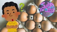 Retiran casi 19 millones de huevos por riesgo de salmonela; ¿hay peligro en México?