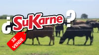 ¿Está en venta SuKarne? Qué sabemos sobre la empresa sinaloense exportadora de carne