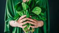 Verduras que nutren y protegen: las razones para añadirlas a la dieta
