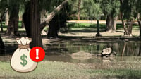 Cuestionan destino de 45 mdp para mantenimiento de Parques en Durango