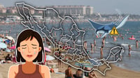 ¿Vas de vacaciones? Conoce en qué playas de México hay alerta por picaduras de mantarraya
