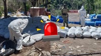 Inhabilitan mega narcolaboratorio a 'Los Chapitos' en Sinaloa; aseguran 16.8 toneladas de droga