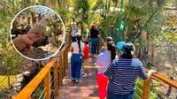 El Zoológico Sahuatoba cuenta con un nuevo espacio para aves