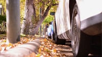 Otoño 2026: ¿cuándo comienza y traerá consigo días más fríos a Durango?