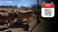 Resultados de la visita de USDA a Durango se emitirán de manera oficial en el mes de octubre
