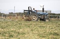 Exportaciones del campo en Durango caen 64.5%