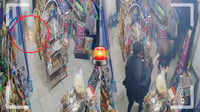Ladrón lanza pirotecnia para robar tienda en Barrio de Analco; empleada intentó detenerlo | VIDEO