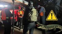 Alerta por posible presencia de cocodrilo en río de Santiago Papasquiaro, Durango