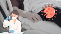 Detectan primer caso humano de virus shamonda en paciente que murió, ¿qué es y cómo se transmite?