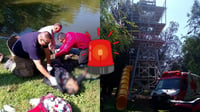 Hombre resulta lesionado tras caer de tirolesa que estaba fuera de servicio en el Parque Guadiana