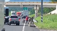 Reportan persecución y enfrentamiento en la Tepic–Mazatlán; habría un herido y cuatro vehículos dañados | VIDEO