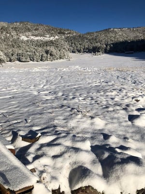 Nieve pinta de blanco a Durango