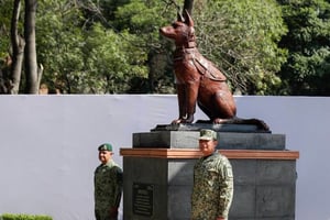 Develan estatua de Proteo en Campo Marte; perro rescatista de la Sedena fallecido en Turquía