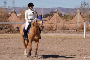 Circuito Ecuestre Estatal de Durango 2026 arranca en Deluxe Horse Market con buen nivel deportivo