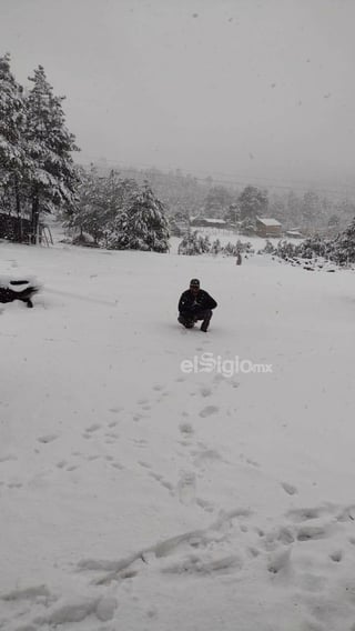 Este miércoles cerca de las 14:00 horas se reportó la caída de nieve en La Rosilla, localidad de Guanaceví, Durango.