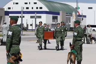 EUM20230216NAC02.JPG 
CIUDAD DE MÉXICO. Tribute/Homenaje-Perro rescatista-. 16 de febrero de 2023. Aspectos de la llegada de los restos del perro rescatista 'Proteo' del Ejército Nacional, binomio canino que murió en Turquía durante el cumplimiento de su deber. Foto: Agencia EL UNIVERSAL/Carlos Mejía/EELG