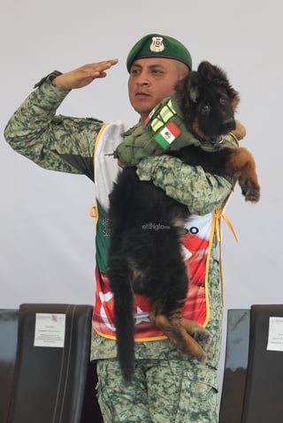 La Secretaría de la Defensa Nacional (Sedena) dio a conocer el nombre del cachorro que se integra al grupo de binomios caninos mexicanos, luego de que el Gobierno de Turquía lo donara en solidaridad y empatía, tras el fallecimiento del perrito rescatista Proteo.