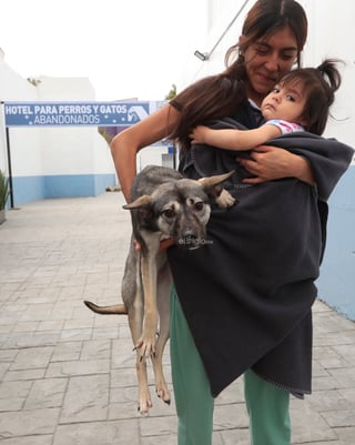 Con el objetivo de crear conciencia sobre los animales abandonados en las calles de México, se inauguró en la capital del país el primer hotel para perros y gatos que viven esta situación, el cual brinda estancia, veterinaria, esterilización, estética y adopción de manera gratuita.