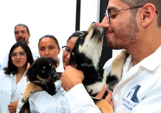 Con el objetivo de crear conciencia sobre los animales abandonados en las calles de México, se inauguró en la capital del país el primer hotel para perros y gatos que viven esta situación, el cual brinda estancia, veterinaria, esterilización, estética y adopción de manera gratuita.