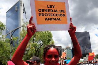 Miles de personas se manifestaron este domingo en calles de la Ciudad de México y otras ciudades para exigir un alto a la violencia contra los animales ante los cada vez más frecuentes casos de maltrato y crueldad que se han reportado en el país, además de penas más severas contra quien cometa estos delitos.