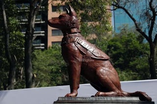 La Secretaría de la Defensa Nacional (Sedena), develó la estatua del elemento canino Proteo, que murió el 10 de febrero de este año en Turquía, debido al clima extremadamente frío en aquella nación, durante labores de búsqueda tras los sismos que se registraron en el país.