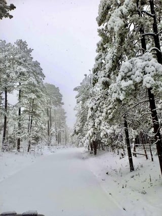Se registró la caída de nieve en comunidades de nueve municipios de Durango, durante este miércoles, de acuerdo al reporte de la Coordinación Estatal de Protección Civil (CEPC).