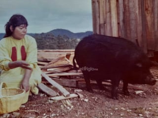 Fray Colombiano vivió 8 años en la zona indígena entre 1975-1983